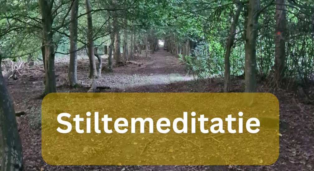 Stiltemeditatie met theeceremonie Stichting Rituals to Root