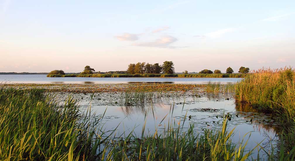 Stilte vaartocht De Wieden