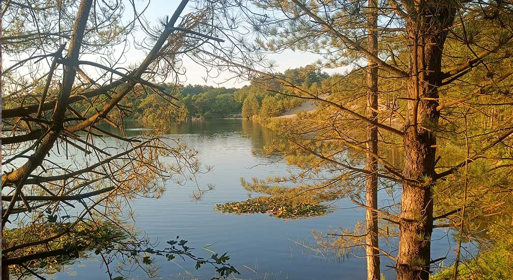 Heerlijke stilte inzichtswandeling Kennemerduinen