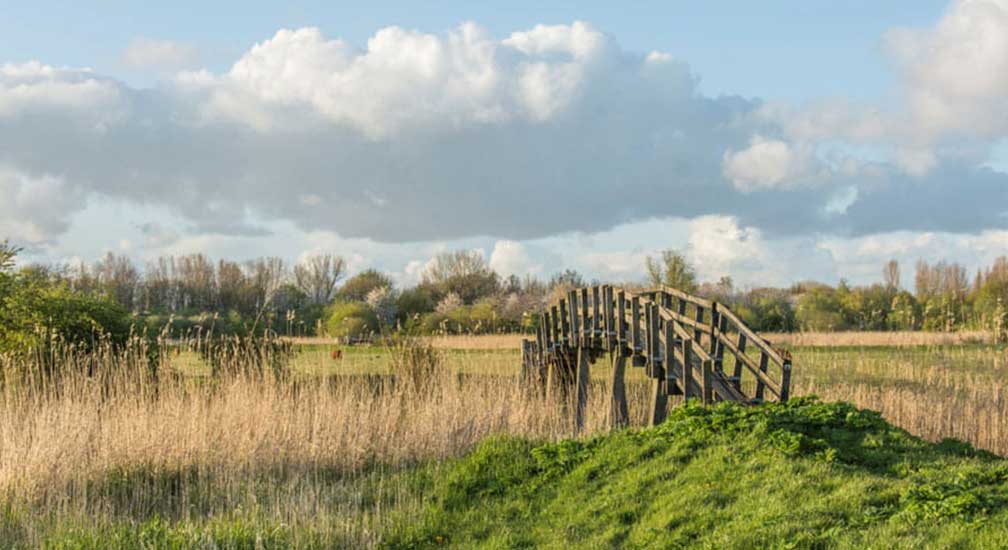 Stiltewandeling Almeerderhout