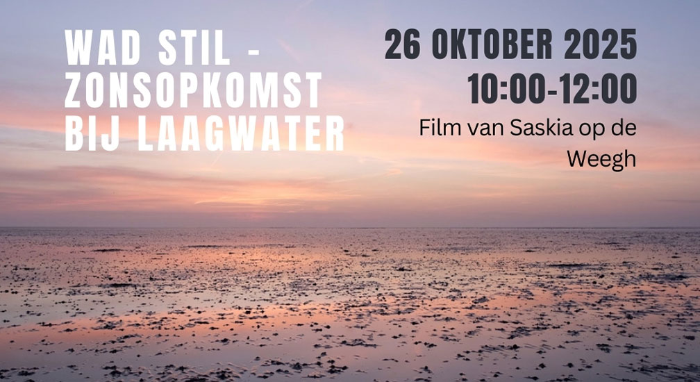 De Sedykster Kunstschuur