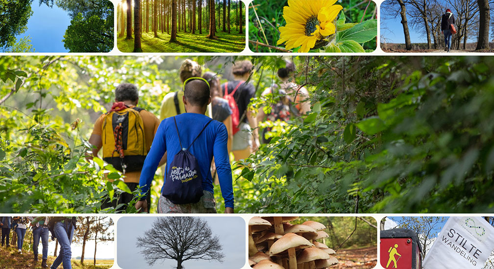 Find Inside Yourself Stiltewandeling