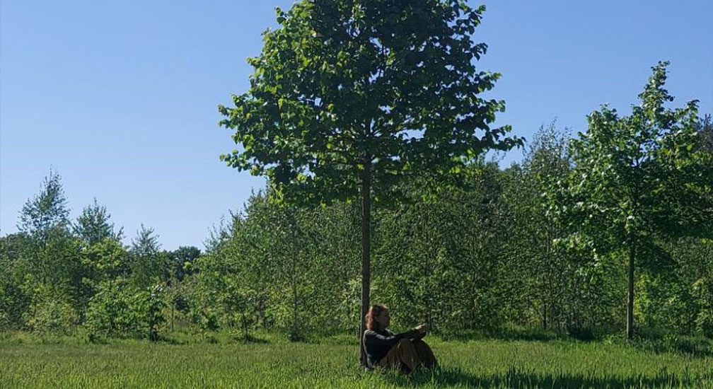 Dag van de stikte bosbad in Veldhoven