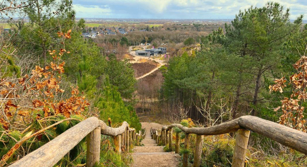 Qigong Stilte Wandeling Schoorlse Duinen