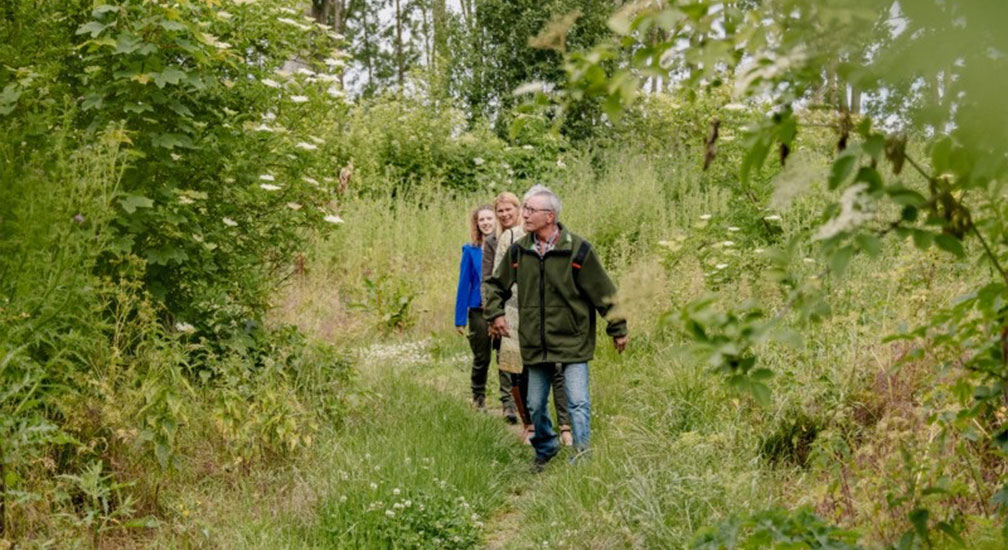 Stiltewandeling Almeerderhout