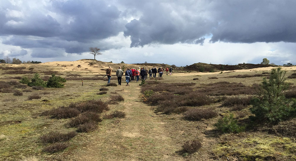 Stiltewandeling in het Drents-Friese Wold