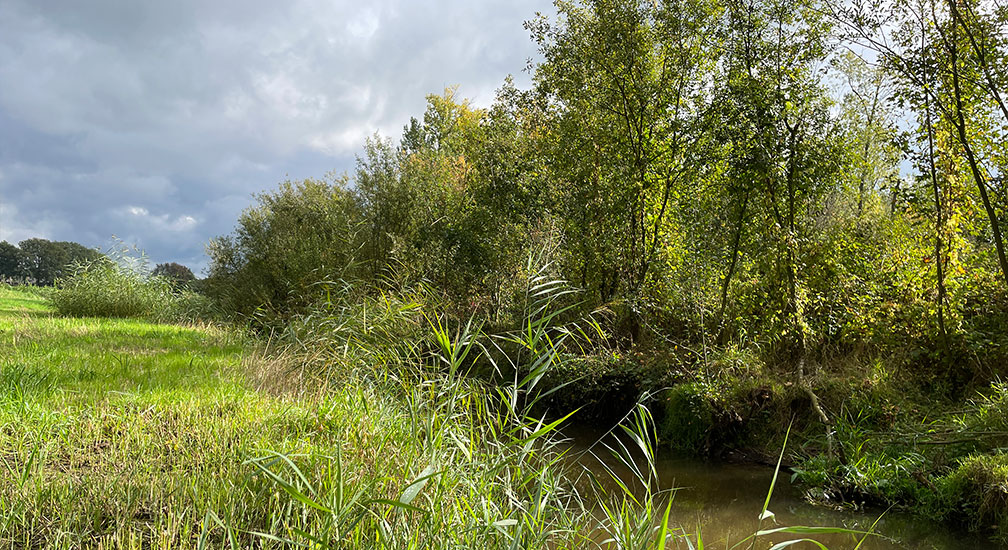 2,5 uur stilte-verkenning - STIL-AAN
