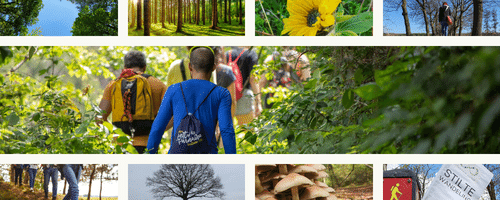 Stiltewandeling in Limburg – natuurpark Maas-Nette-Swalm