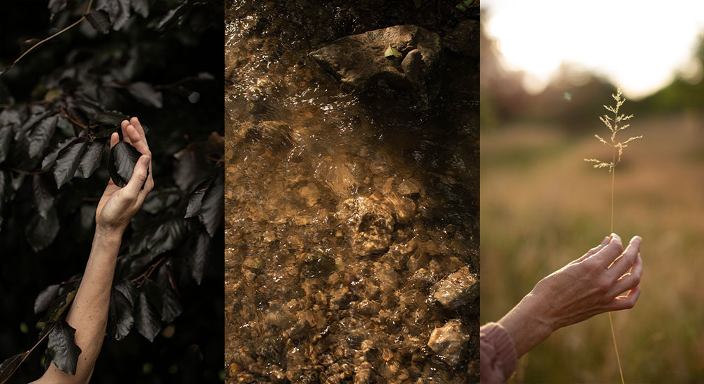Bosbad vol Stilte - Rhythms of Nature