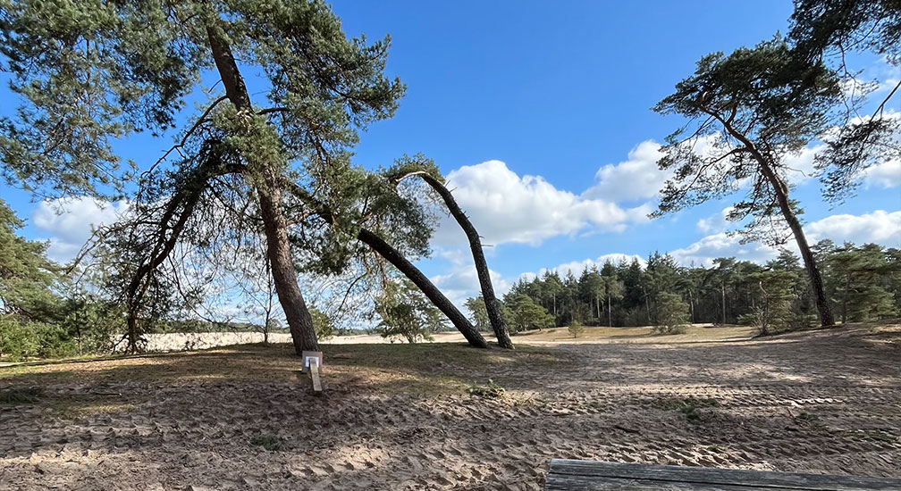 Stilte wandeling op de Lemelerberg