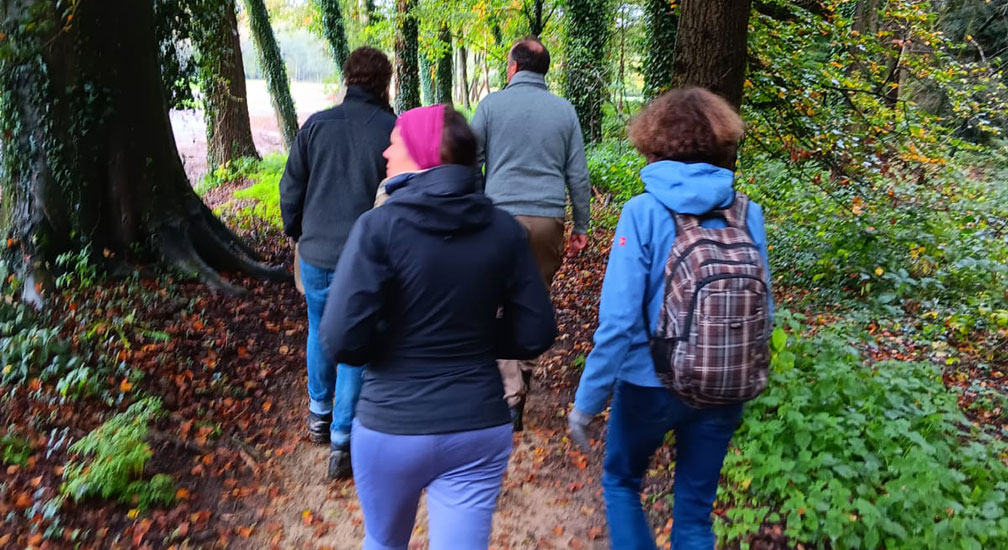 Stiltewandeling Buurserzand