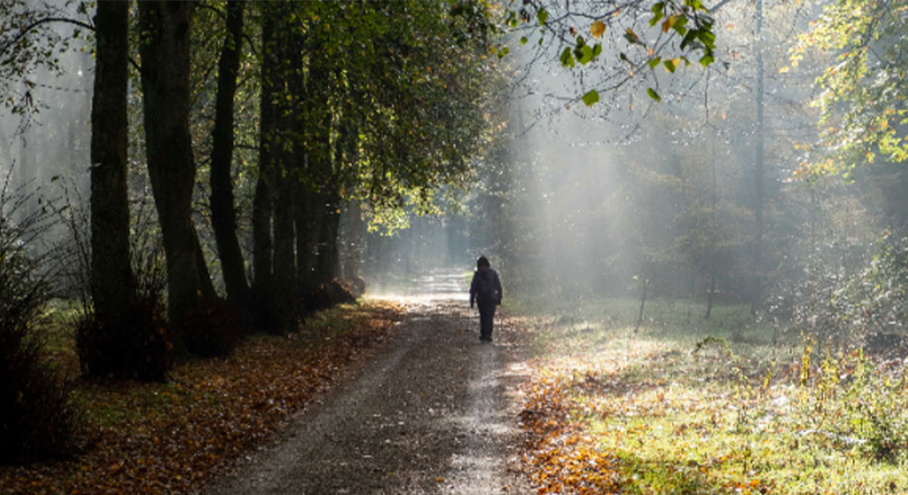 Stiltewandeling 'ontdek wat de stilte met je doet'
